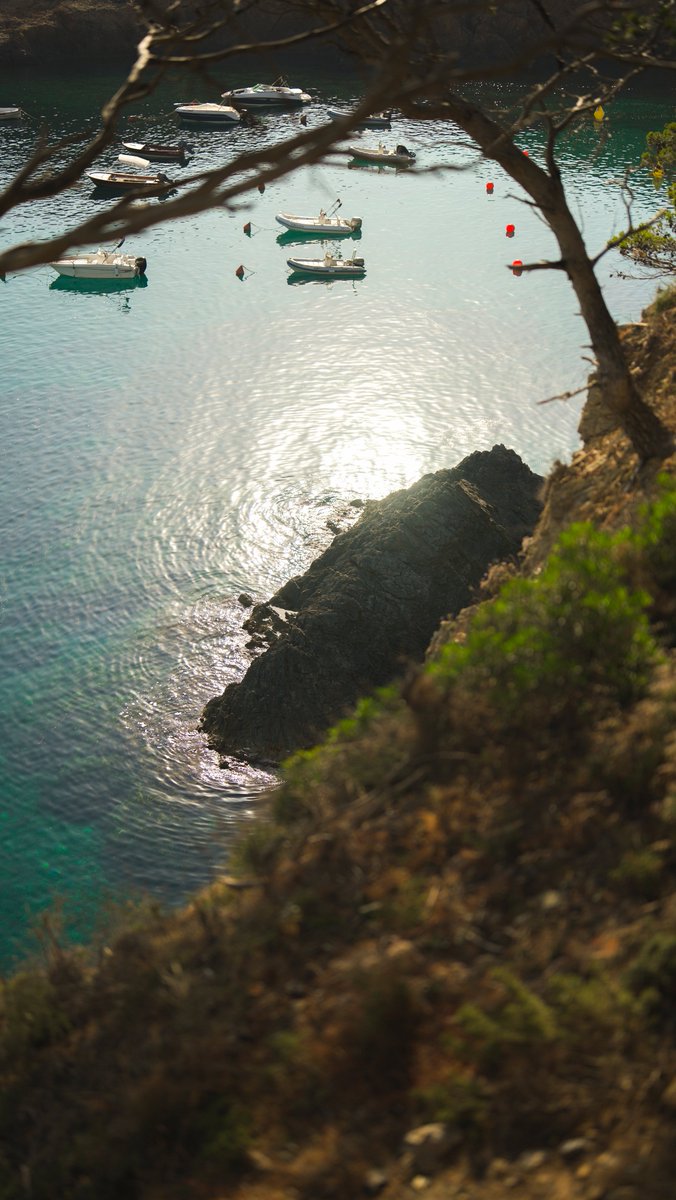 🫶 Passeja pels nostres camins de ronda,  és una de les millors maneres de descobrir el nostre meravellós litoral!

📍Aiguafreda - Sa Tuna - S'Eixugador
🔙 Summer'23

#begur #beguresautentic #visitbegur #visitemporda #incostabrava #viueldoble #livetwice #CostaBrava