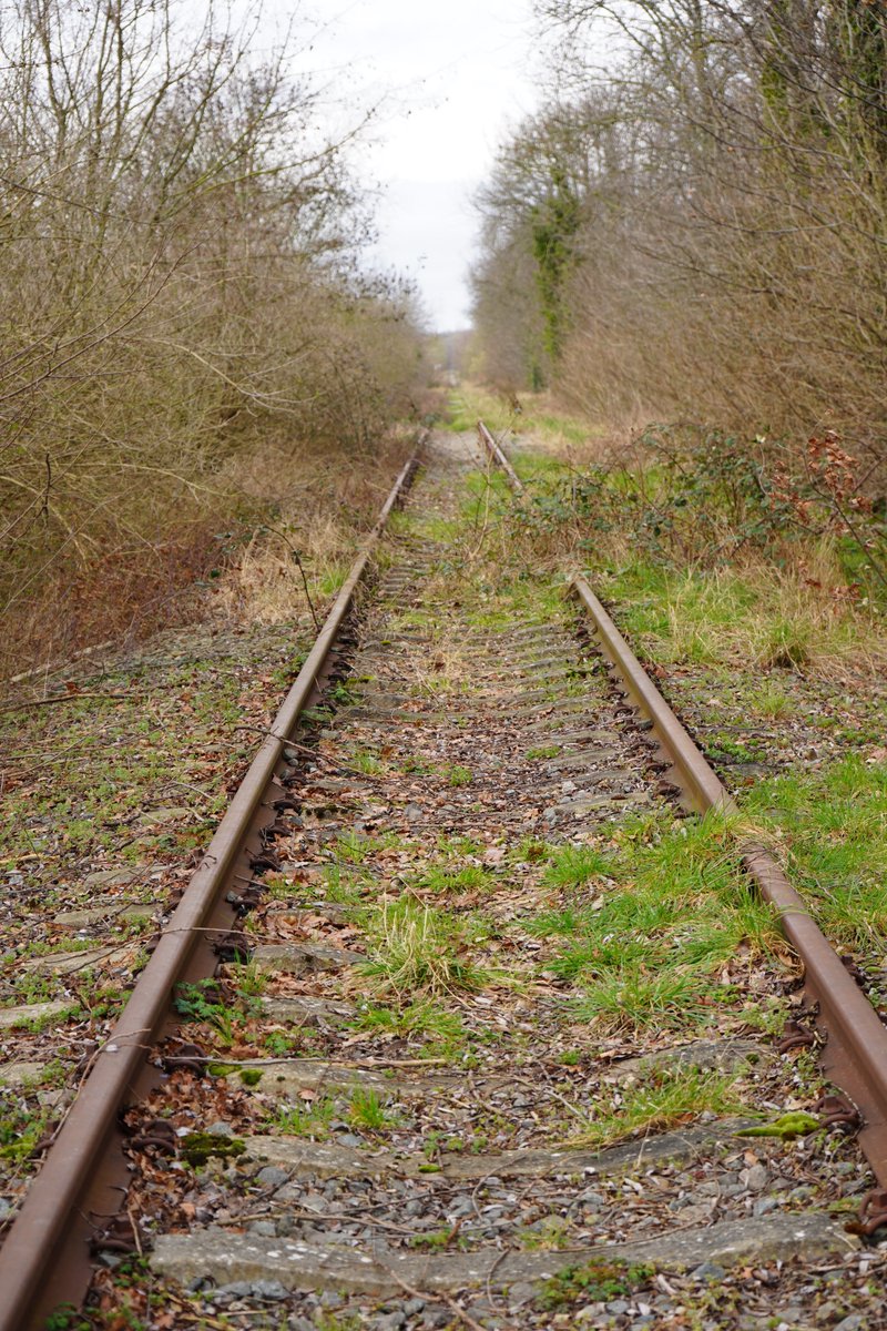 De VL-NLse treinen botsen op hun grenzen. In 1930 waren er 7 spoorlijnen tussen VL en NL, vandaag zijn dat er nog maar 2. @SjerenoC en @ClaeysBasil bespreken de oorzaken van het verval van het regionaal-internationaal treinverkeer voor @delagelanden_ bit.ly/3W7buoW