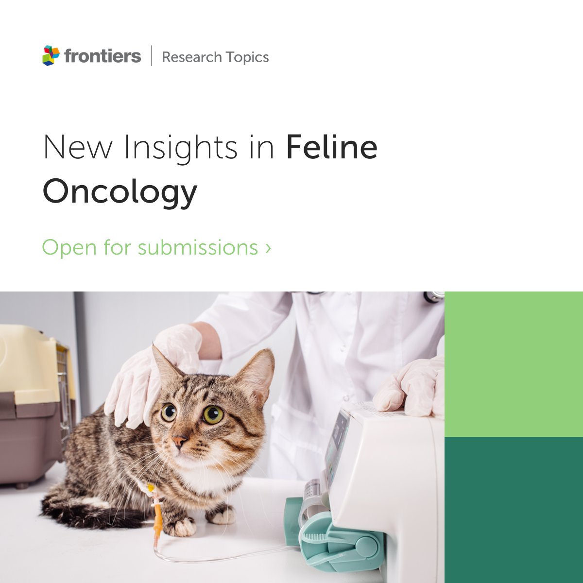 🚨 Deadline approaching 📅 27 April 2024 📖 Last chance to submit your #Paper to this special issue about new insights in feline oncology. #veterinary #Veterinarians #Research #researchers Discover more 👉fro.ntiers.in/52902