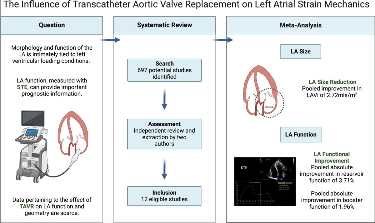 Systematic review & meta-analysis on data pertaining to the effect of transcatheter aortic valve replacement (#TAVR) on LA function and geometry. bit.ly/3xJD1CK #CardioX #Echofirst @ehjimpeic @ezancanaromd @jgrapsa @shehabanwer @eacvipresident @echo_stepbystep #EHJIMP