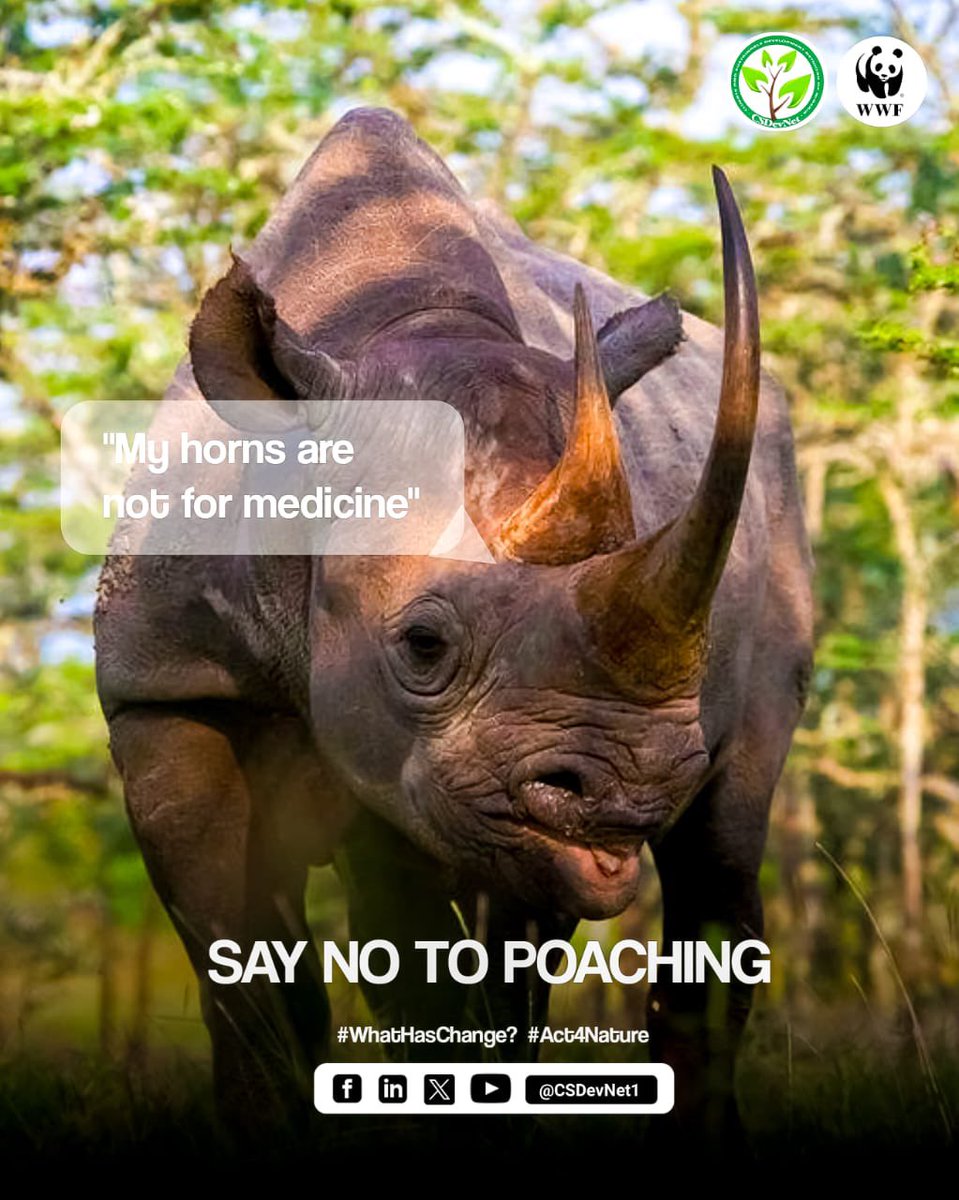 Join the movement to end poaching and save our wildlife! Together, we can make a difference. #NoPoaching #ProtectWildlife 🌍🐾 #WhatHasChanged #Act4Nature

@WWF @CSDevNet1 @CSDevNet1_Steve @PACJA1 @Sida @_AfricanUnion