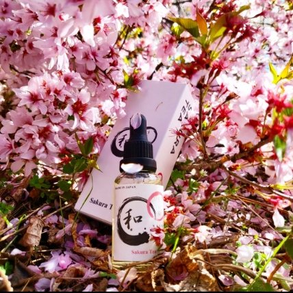 BI_SO_Liquid's tweet photo. 『和-NAGOMI- #桜ティー』
和(わ)をコンセプトに日本ならではの香り、スイーツをラインナップ😊
ストレートティーに#桜 がふんわりと香るVAPEリキッド です🌸
#和リキッド
#電子たばこ #電子タバコ
#電子タバコリキッド #ベイプ
#春リキッド #ベイプリキッド
#vape好きと繋がりたい
#bisoliquid https://t.co/PeLxqkyAAq