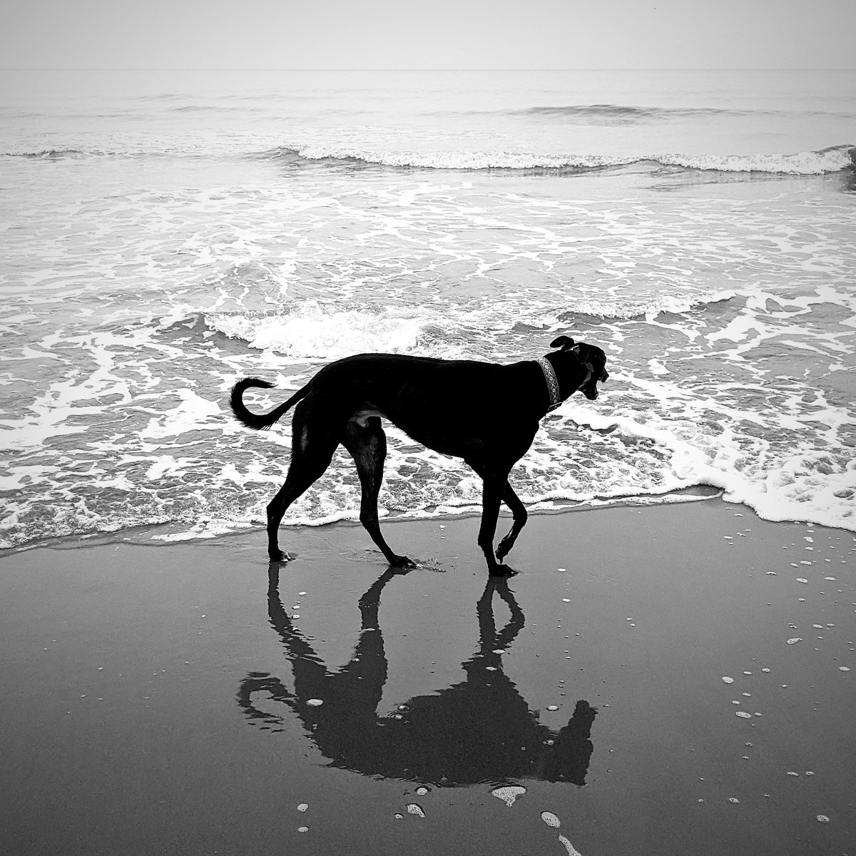 Aidan Severs tweet media