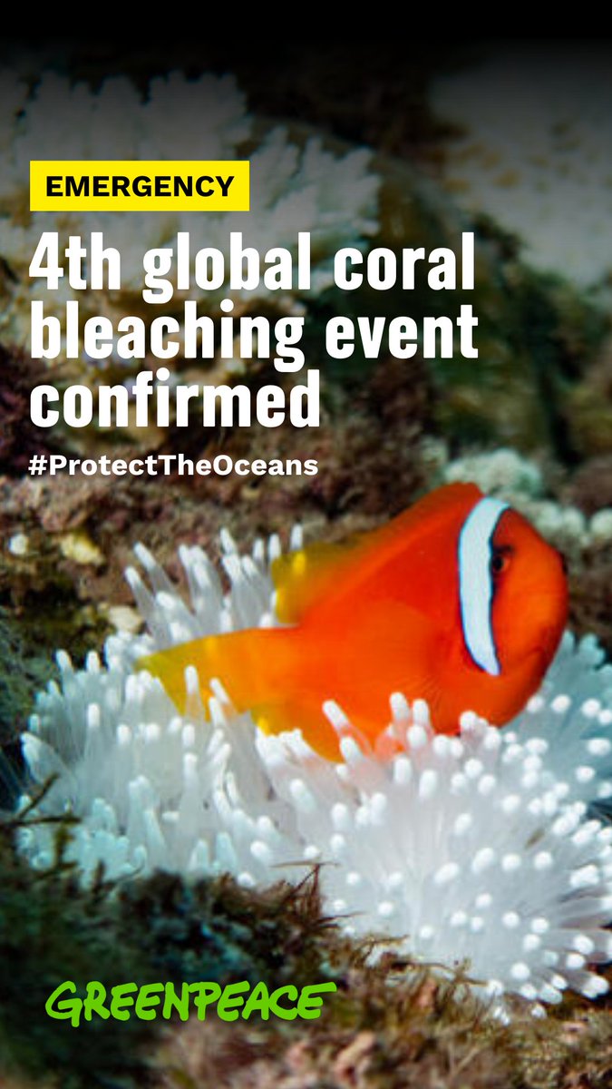 Sad news. @NOAA and the @ICRI_Coral_Reef have confirmed the 4th global coral bleaching event. (1/4) edition.cnn.com/2024/04/15/cli…