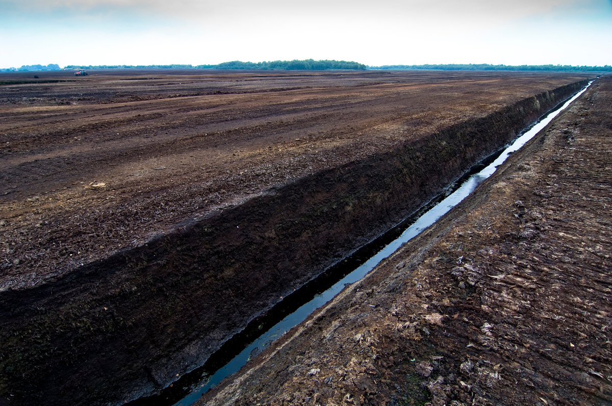 The ban on the use of horticultural peat will be debated in the House of Commons today. Along with our many partners, we're calling on the Govt. to keep peat in a bog & not in a bag #PeatFree #PeatlandsMatter
yppartnership.org.uk/news/celebriti…
📷Peter Cairns 2020VISION & Matthew Roberts