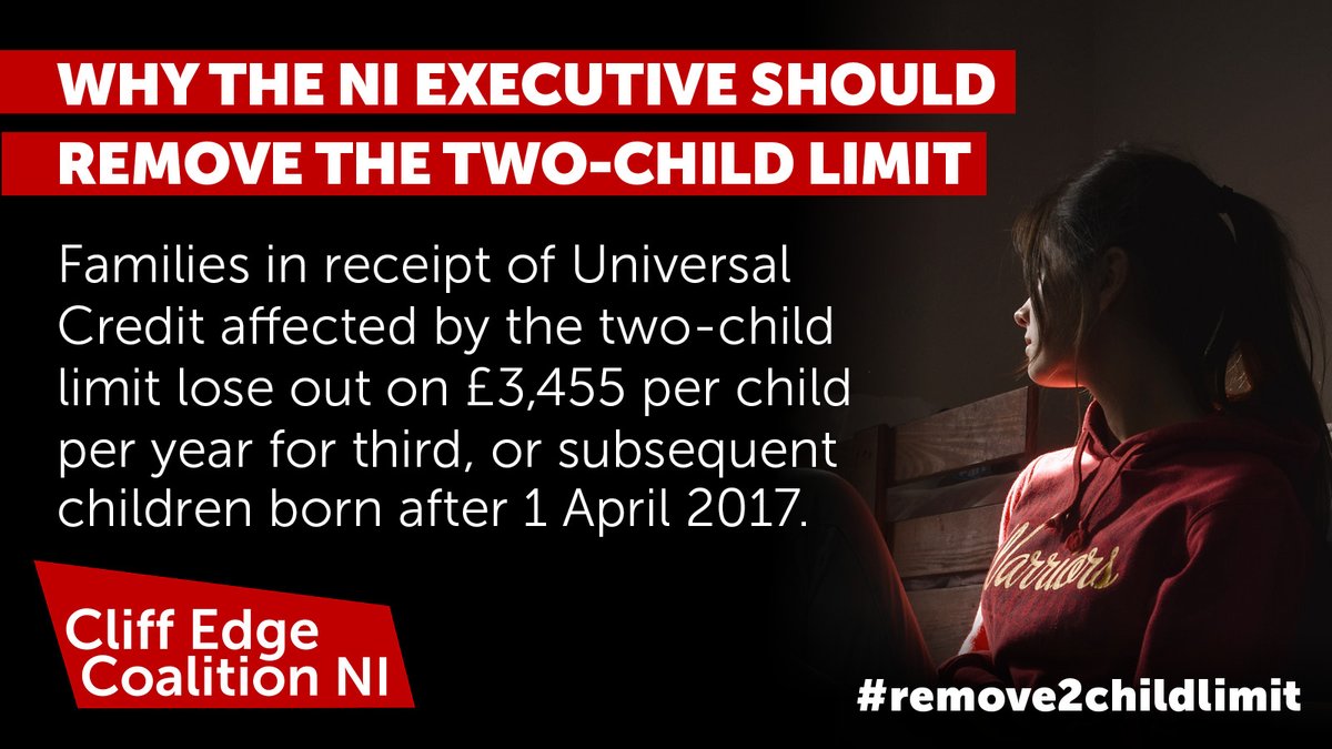 One in ten children in Northern Ireland live in households affected by the two-child limit. That’s over 45,000 children. @sinnfeinireland @duponline @allianceparty @uuponline @SDLPlive @GreenPartyNI @pb4p @TUVonline @CliffEdgeNI