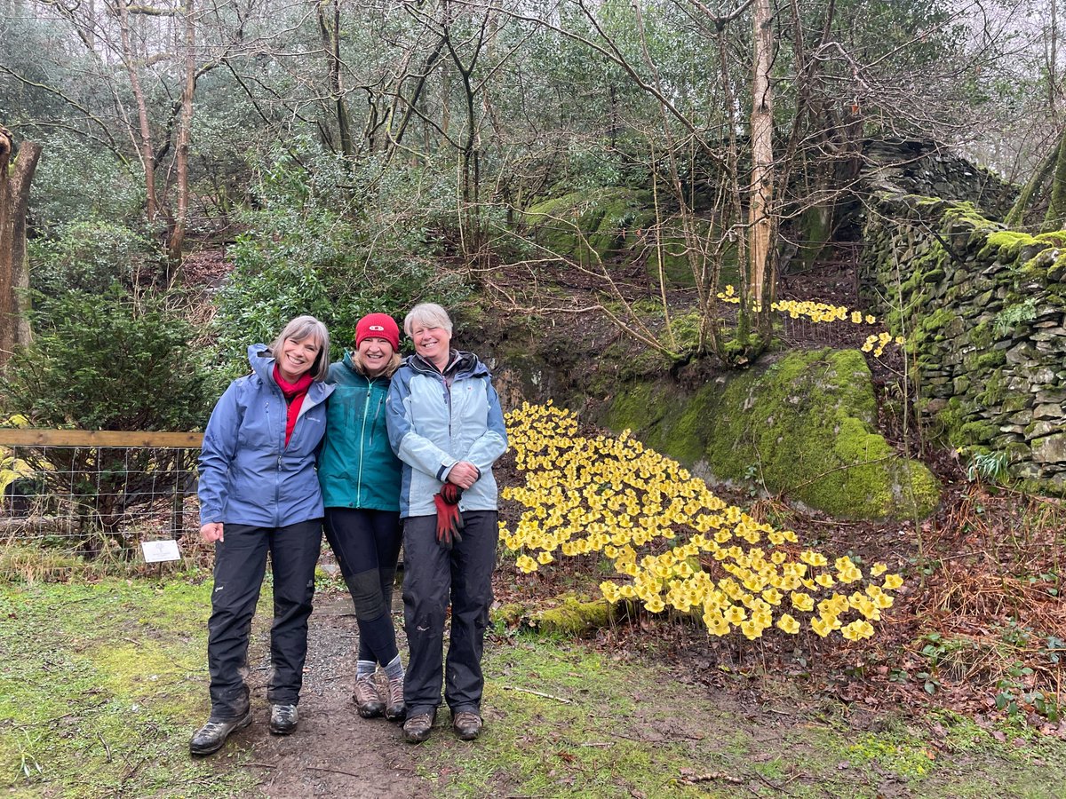 Come and visit our hand-made host of golden daffodils at Grasmere! Proceeds from buying a ceramic daffodil go to funding our environmental education work with young people🌼