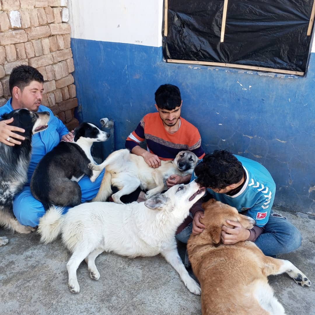 Our staff are exhausted, overworked, pushed to the brink, but they bring the love, and it's real. Over 92 full time staff work at KSAR, supporting over 850 family members. Kindness is infectious. Help us keep it going. secure.givelively.org/donate/kabul-s…