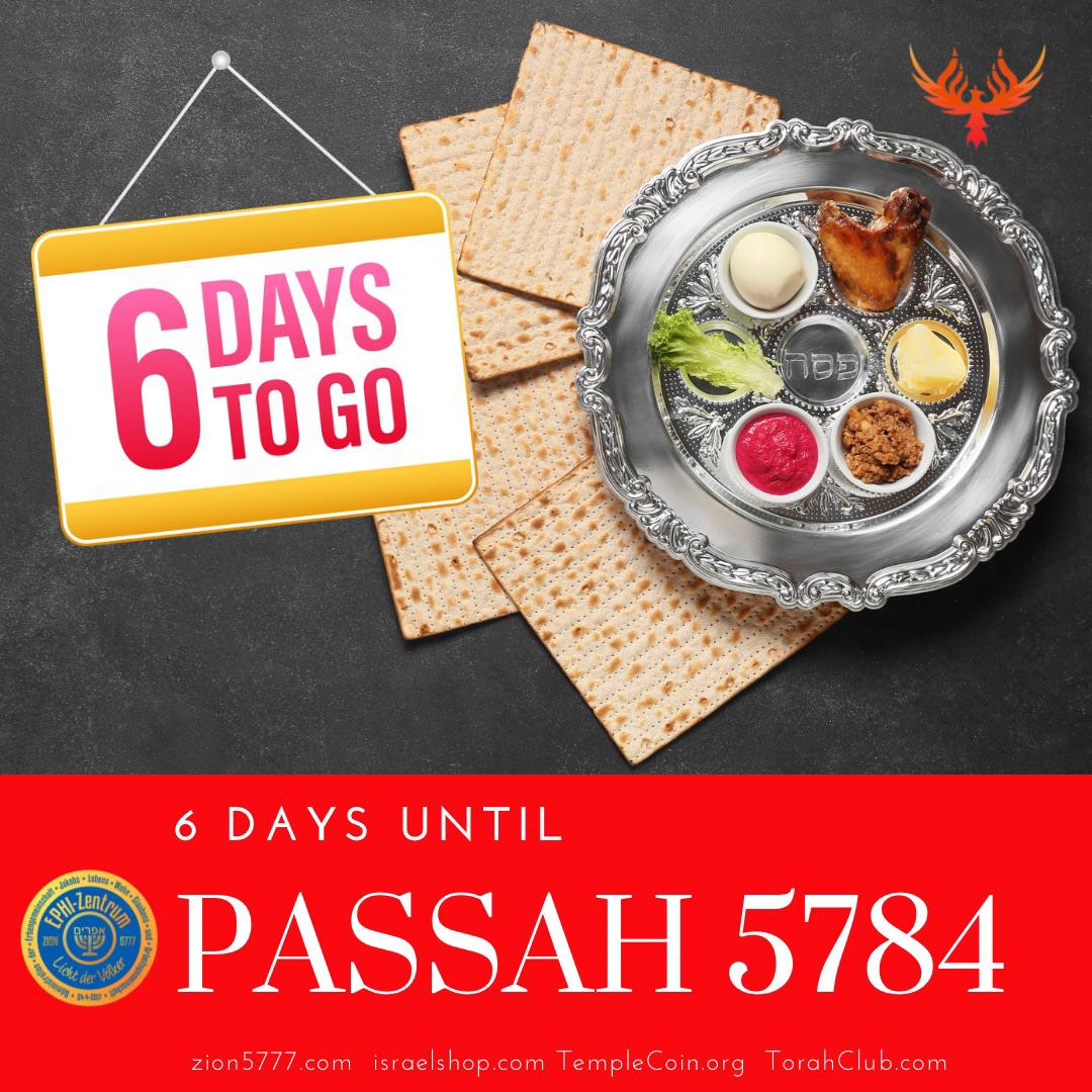 ❗️6 Days until Passah 5784 🇮🇱❗
🔸en.zion5777.com/id
🔸torahclub.com
🔸templecoin.org