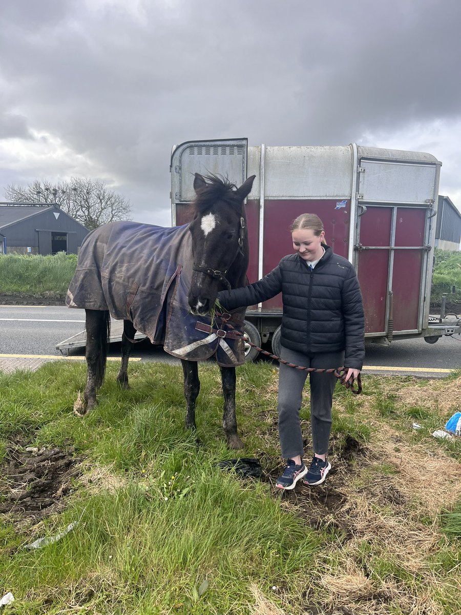 Edelburke4's tweet image. The things farm children have to do before school 🫣😂
#Loadup
#Maretovet
#Inseminationday
#LackenFarmyard