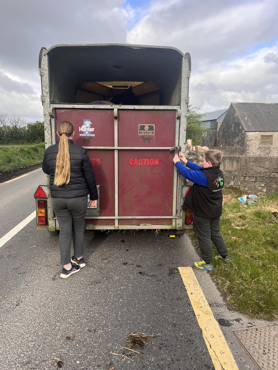 Edelburke4's tweet image. The things farm children have to do before school 🫣😂
#Loadup
#Maretovet
#Inseminationday
#LackenFarmyard