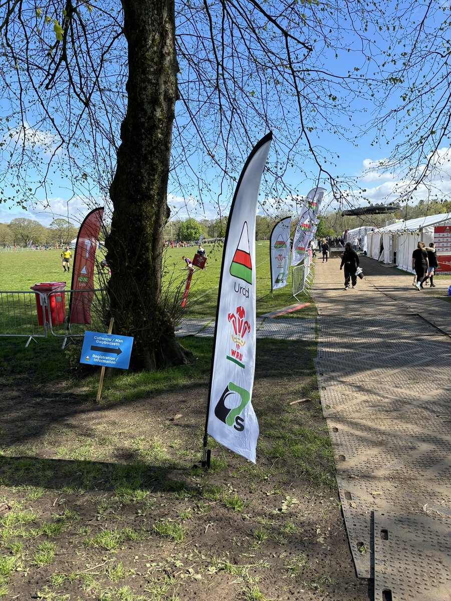 pyc_post16's tweet photo. Fantastic day for the Urdd  WRU 7s Festival, sunshine and smiles all round #Teamwork #Rugby @Penycwm @DragonsHUBs https://t.co/tkEa4EoWgy