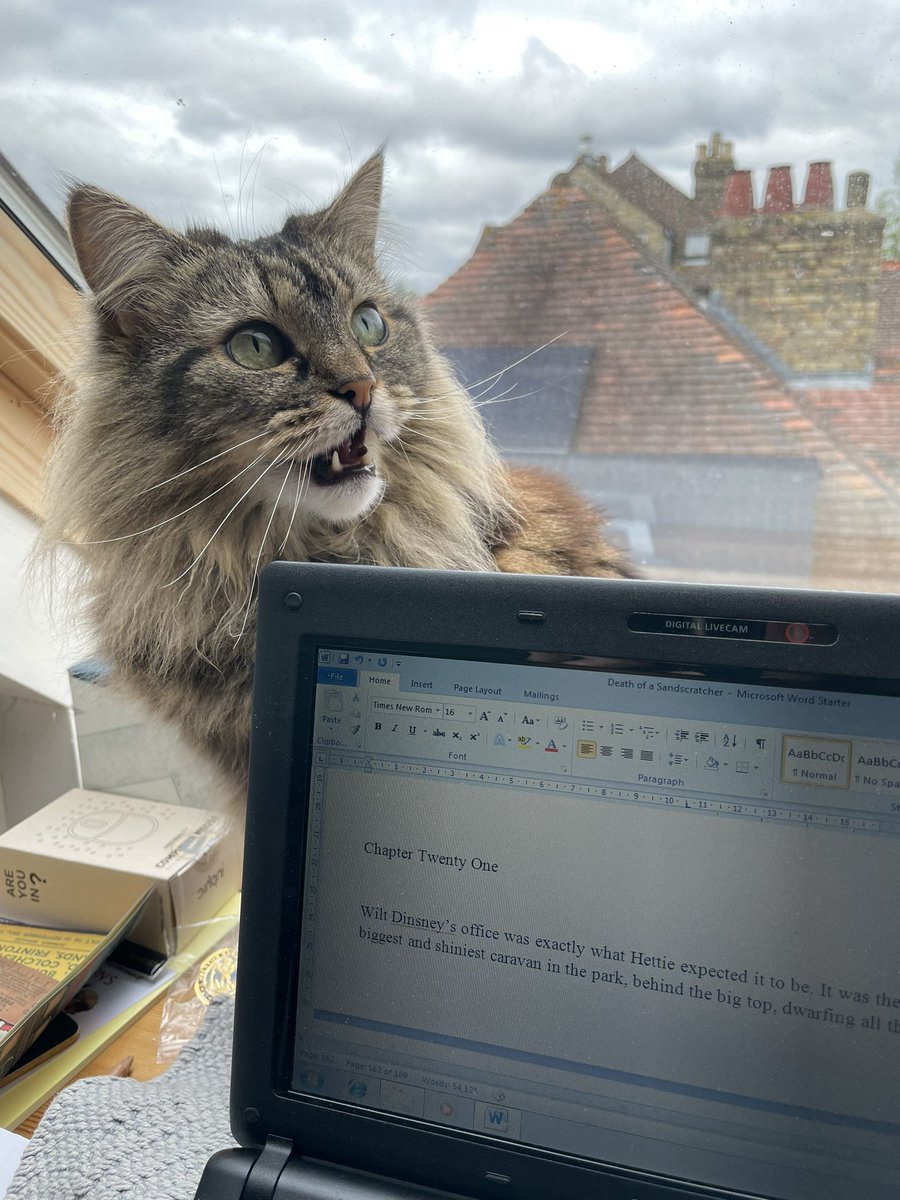 Progress! Good to see #BetseyTrotwood is back at her desk again ,dictating the next chapter! #TheNo2FelineDetectiveAgency @farragobooks