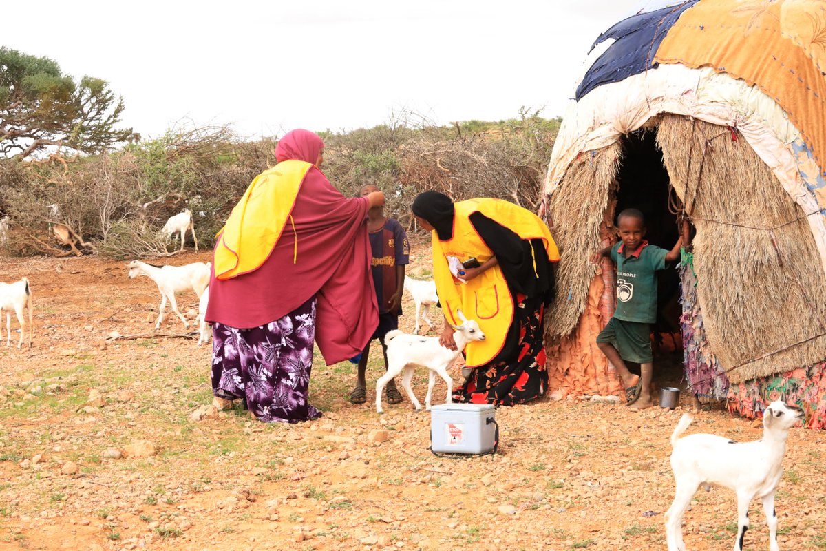 Somalia’s Health Minister and partners plan to intensify efforts to end 7-year variant poliovirus outbreak. Partners commit to take bold steps to boost routine immunization and child health in Somalia
Read more: bit.ly/3U0a6Sv
#EndPolio