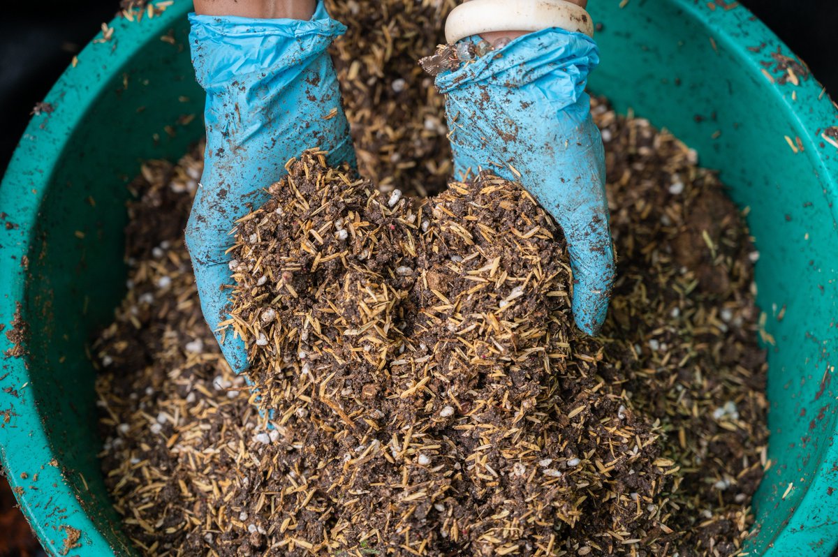 Soil health is a hot topic🌱 Today @EU_Partnerships organised an expert exchange on potential of organic and biofertilizers in Africa. Next up: turn evidence into policies and investments at the Africa Fertilizer and Soil Health Summit🌍#AFSH24 knowledge4policy.ec.europa.eu/publication/ex…