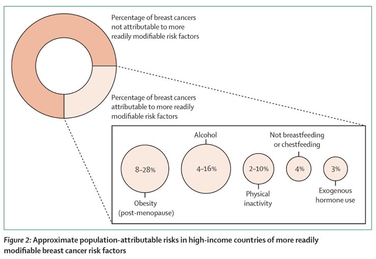 The Lancet ha appena pubblicato un articolo con quasi 500 referenze (per dirvi quanta letteratura hanno usato) nel quale indicano che un quarto dei tumori alla mammella sarebbe imputabile a fattori ambientali. Obesità, alcool e inattività le cause più importanti .