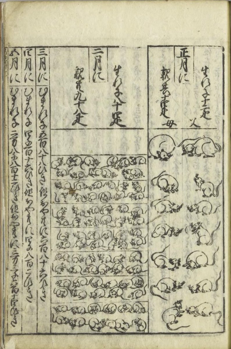 江戸時代の算術書、『塵劫記』で描かれているモチーフ(特に生き物)が気になる今日この頃…
画像はねずみ算のねずみ🐀 ポーズが表情豊かで生き生きとしててとてもかわいい
写真出典(一部抜粋):国立国会図書館ウェブサイト https://t.co/vXkYZKwAmi