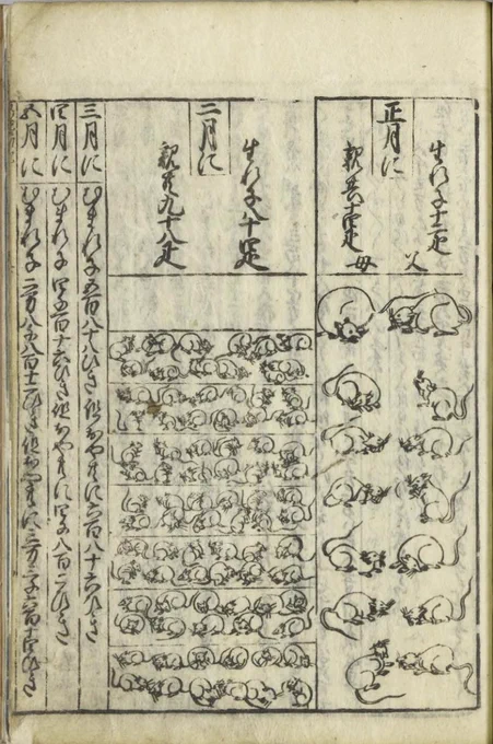 江戸時代の算術書、『塵劫記』で描かれているモチーフ(特に生き物)が気になる今日この頃…
画像はねずみ算のねずみ🐀 ポーズが表情豊かで生き生きとしててとてもかわいい

写真出典(一部抜粋):国立国会図書館ウェブサイト https://t.co/vXkYZKwAmi 