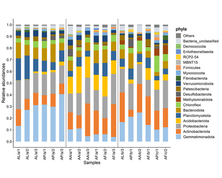 🔬🌱New achievements in the study of bacterial community structure and metabolic activity of soils in various alkali vegetation 🌱🔬 📎 Details can be found at the following link: lnkd.in/ermUac7T #hunrenatk #TAKI #research #SoilBiology #SalineSoils