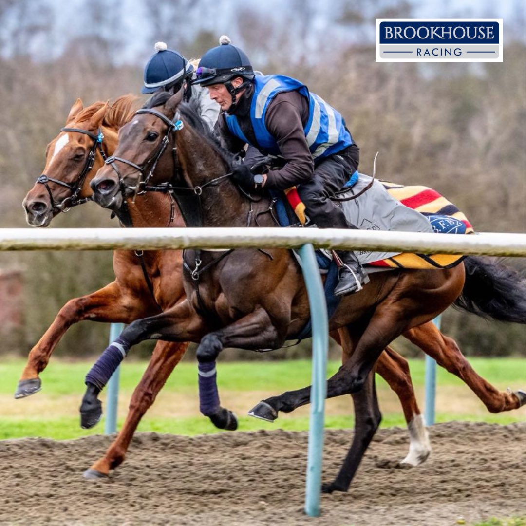 The need for speed… 𝙍𝙖𝙜𝙤𝙨𝙞𝙣𝙖 (near) with Joe alongside 𝘾𝙝𝙖𝙢𝙥𝙖𝙜𝙣𝙚 𝘾𝙞𝙩𝙮 under Mollie @NewmarketGallop.