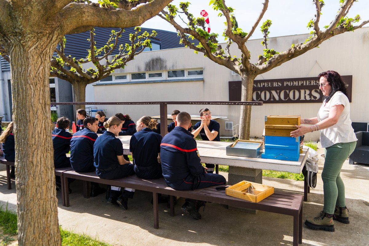 Pompiers_13's tweet photo. [#MardiChiffré]

Ce week-end, le CIS #Concors a servi d'écrin à une belle journée d'échanges et de cohésion entre 1️⃣2️⃣ @JSP_Pompiers13 et 1️⃣3️⃣ jeunes @MarinsPompiers 🤝 

Au programme notamment : manœuvres avec la grande échelle et acculturation à l'environnement #pompiers 🚒 https://t.co/PKpf1AYQbR