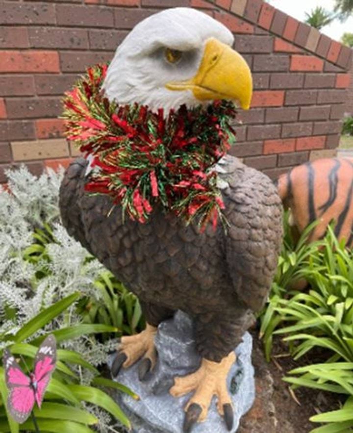 Police are appealing for eagle-eyed witnesses following the theft of a statue in Vermont South on 6 April. It is believed an unknown offender attended a Talarno Avenue address and stole the bald-eagle statue from the front yard between 5.50am and 7.20am > police.vic.gov.au/ill-eagle-thef…