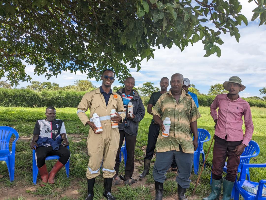 Dr Lawrence Mugabi at Mr Sayi’s farm in KINONI-NAKASEKE district, had a focused group farmer training on farm.

#SANGA 
#worms 
#fluke 
#dips