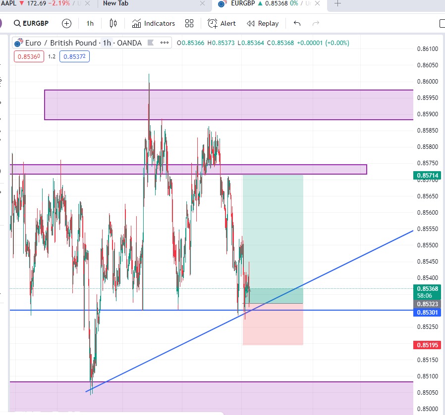 Trial 0001
EURGBP
Entry: Buy