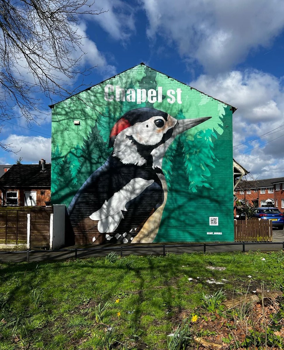 Street art from Levelshume's art trail, painted by local artist Richard Preston, supported by local residents and @heart_mural ⁠
⁠
 #TheRightToACreativeLife #CreativeHealthIsMentalHealth #Creativity #Art #CreativeSpace #CreativeRest #MentalHealth #CreativeHealth #CreativeLife