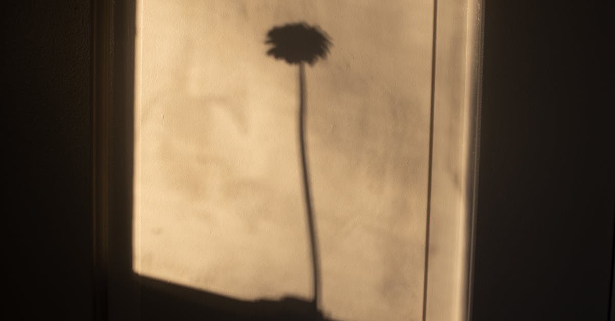 Kurzer Fun Fact: Ich bin auf dem Land aufgewachsen und jetzt totaler Lichttherapie-Fan! 🌞✨ Wer hätte das gedacht? #LichttherapieRockt