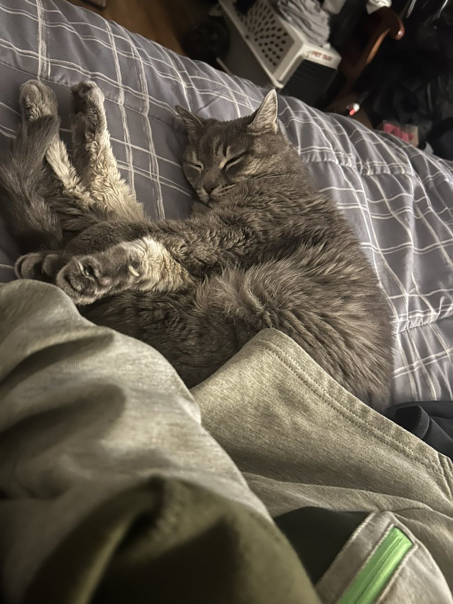 DashRuane's tweet photo. Sleep https://t.co/zGMSJXz7qq