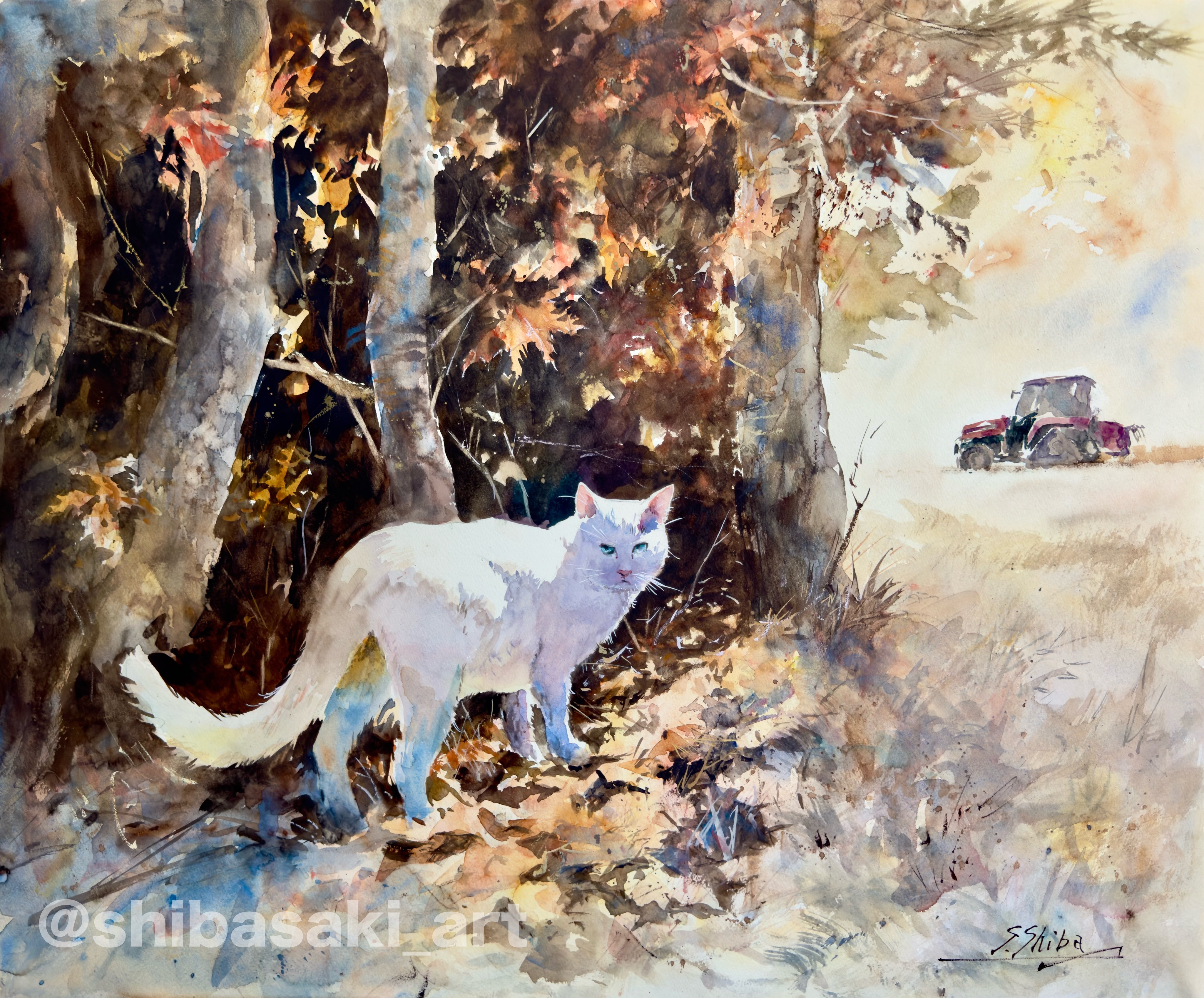 Watercolor by Shibasaki🎨柴崎春通 on X: - 絵画 Watercolor by Shibasaki🎨柴崎春通 on X: - 絵画