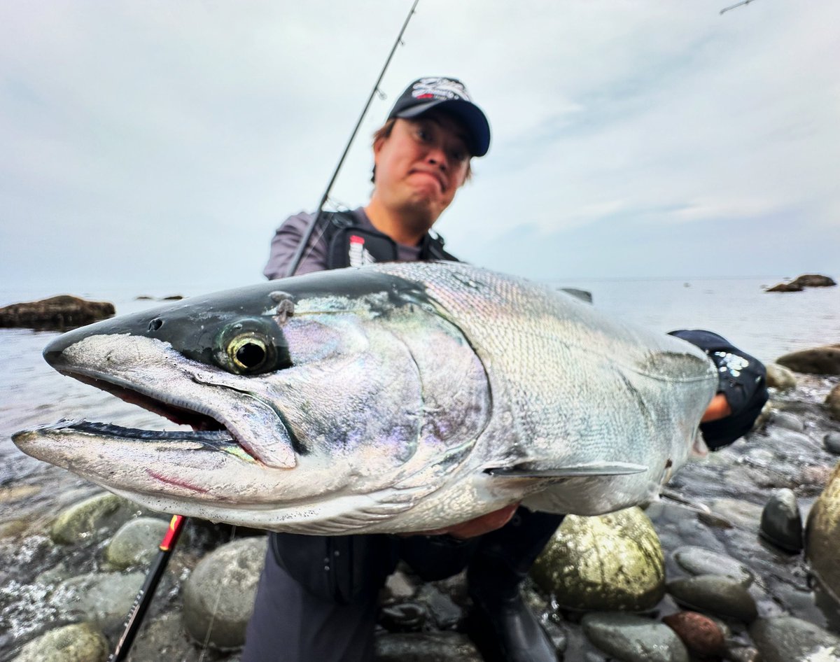 masa_chi's tweet photo. サクラマス遠征。魚は接岸してるけどなかなか食わない感じ。ジグの姿勢やスピード、レンジを丁寧にコントロー��しながら3キャッチ。初挑戦にしては上出来。巻きのショアジギング、とても勉強になりました。案内してくれたジャークマン、ありがとう。濱さんと愛海ちゃんも最高の旅をありがとう。 https://t.co/DHtlMwjbY7