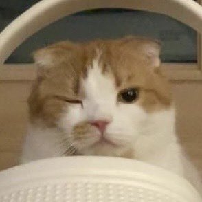 wheeix's tweet photo. like master, like butler 😉 https://t.co/9hfqgrnhzW