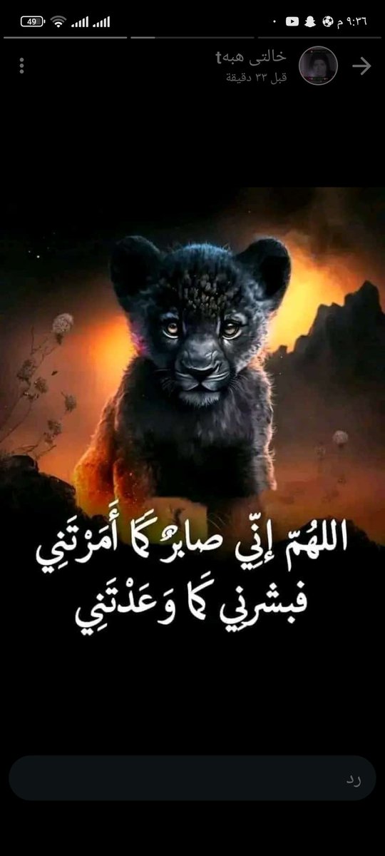 thdyaty's tweet photo. اللهم امين https://t.co/nAoPTiCjHb