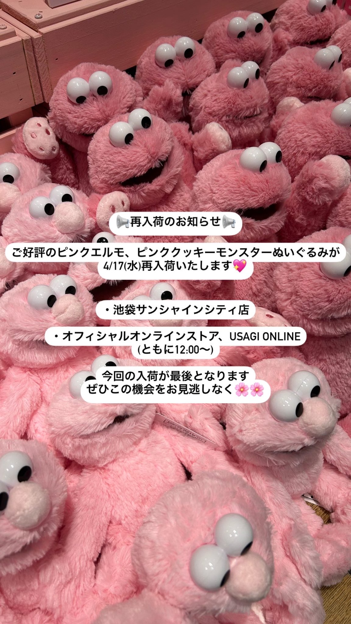 SESAME STREET MARKET／セサミストリートマーケット on X: 