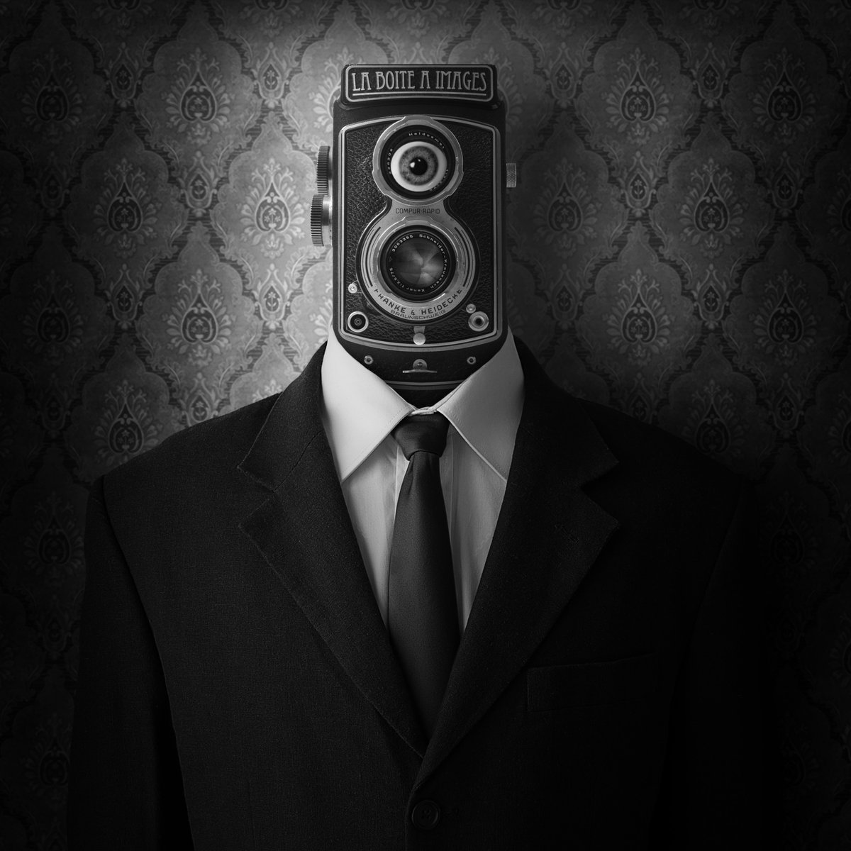 Picture This! Camera Shots TIPA PHOTO CONTEST - The winners Photo: Alexandre Parrot Title: The picture box Category: My camera and I Honorable Mention tipa.com/picture-this-c…