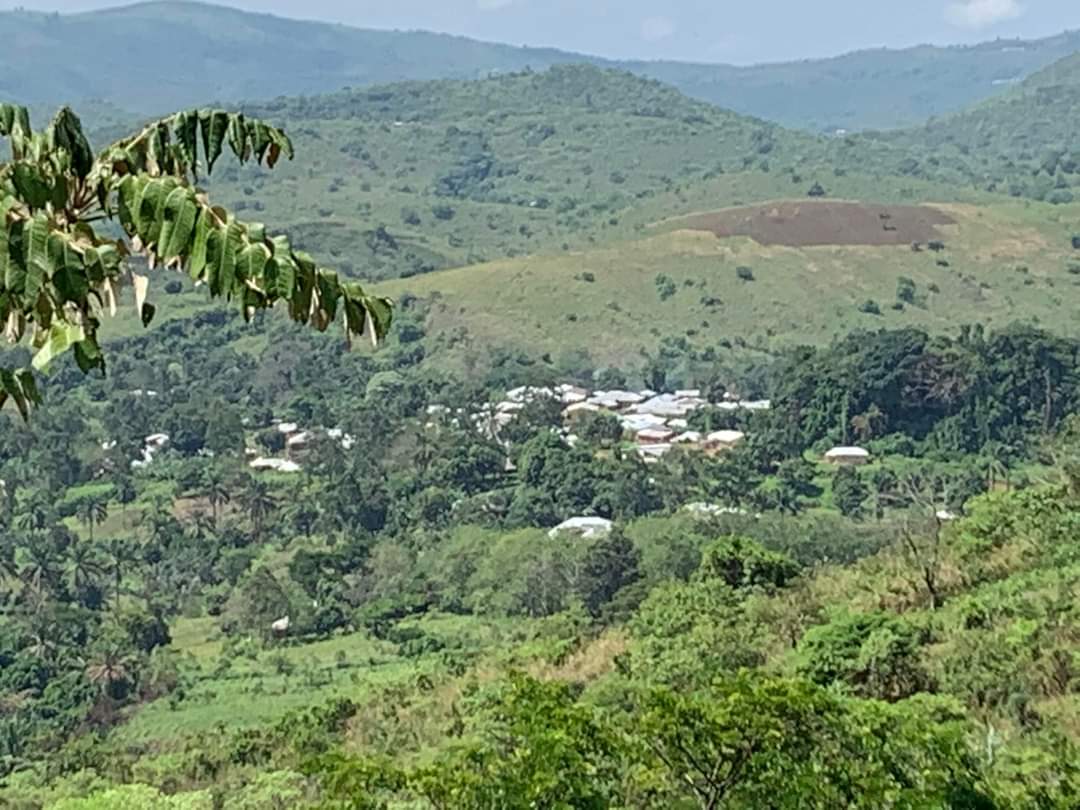 Hello 👋 from a picturesque view of the #Zhoa village from atop the #Mekaf village in the Fungom Subdivision in the Menchum Division, Northwest Region of Cameroon.

#tourism #environment #grassland #naturephotography #phonephotography #agriculture #farming #FungomFarms