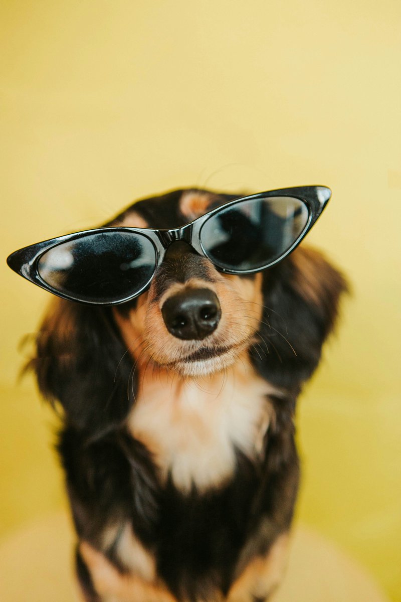 Ready for summer? After last weekend I think we have all been grabbing our sunglasses haven't we? ☀️😎 Stop by this week to explore our stylish ranges of sunglasses that protect your eyes and make you look great. If you aren't sure which style to go for, Jez is here to help!