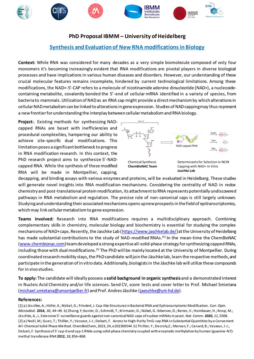 📢New PhD position available in our lab in collaboration with @JaeschkeLab developing new RNA modifications. We are looking for an organic chemist with an interest in life sciences. To apply : tinyurl.com/54fmm8bj @enscmchimiemtp @umontpellier @IBMM_Balard @ChemBioNAC PLS RT