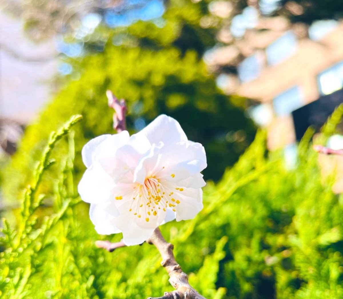 藤井 綾香 (@ayaka0362) on Twitter photo 