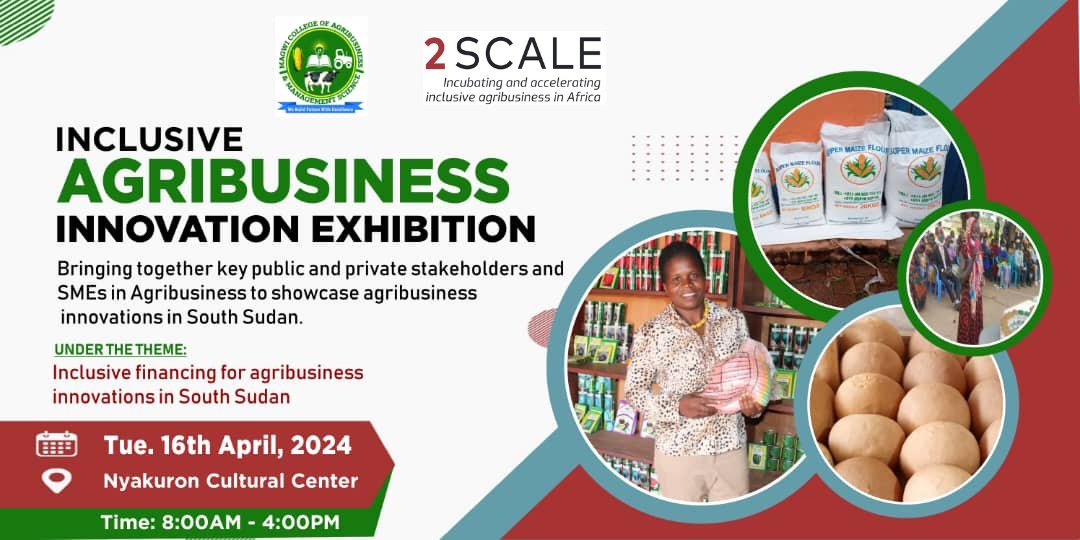 SCALE_2's tweet photo. The Inclusive Agribusiness Innovation Exhibition is in full swing in Juba, South Sudan, bringing together key players for sustainable growth in agribusiness with a focus on inclusive finance.
Stay tuned for updates!
@bopinc @ifdcglobal @SNVWorld
#inclusiveagribusiness https://t.co/RPs6fARU1r