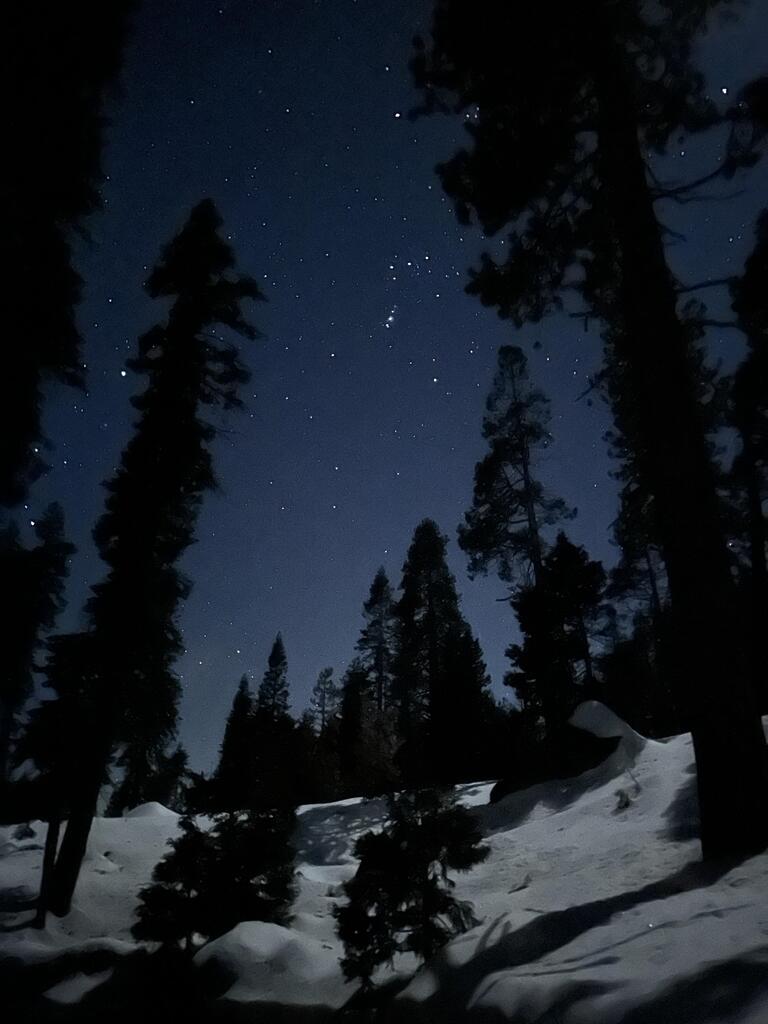 DocAtCDI's tweet image. Enjoy #OurEarthPorn!
(Steal This Hashtag for your own and join the community of Nature Addicts! )

Sequoia National Park, USA. [OC - 3024 x 4032] 
Photo Credit: WartimeHotTot 
.