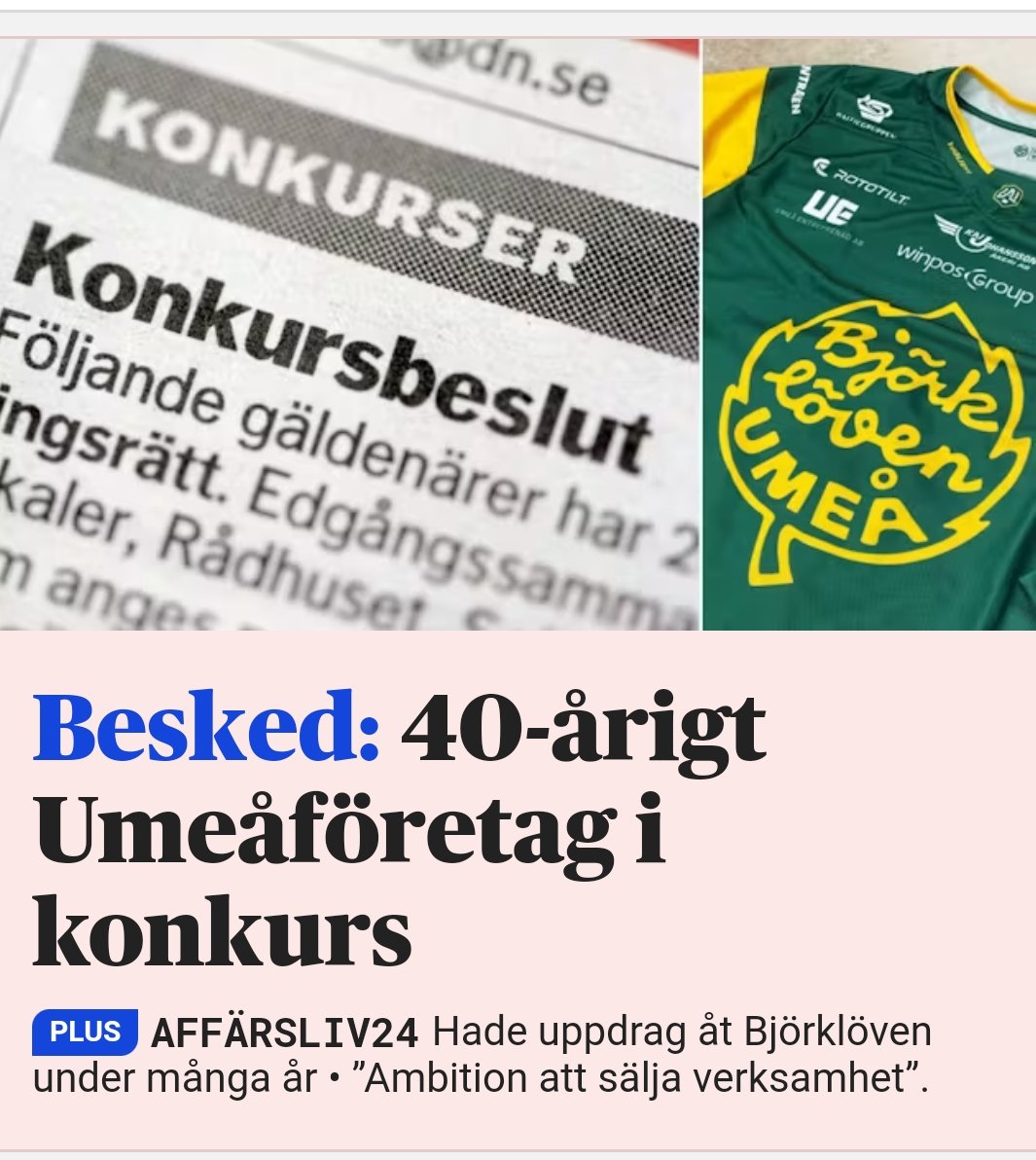 Daniel Elmå tweet media