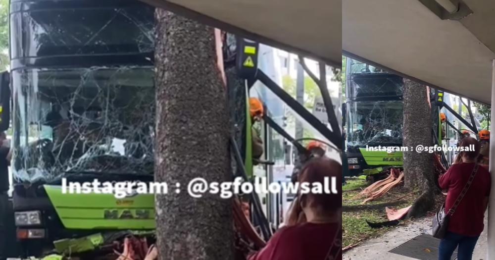 Bus captain dies after double-decker bus mounts kerb & crashes into tree in Woodlands bit.ly/444Uqlx