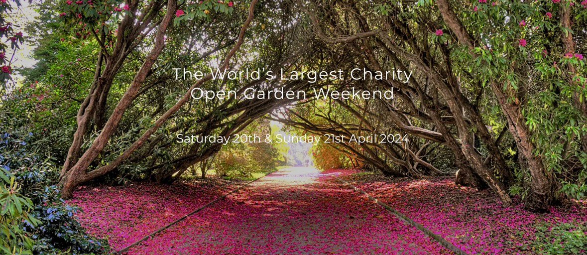 Looking forward to welcoming @Tregothnan to @CHAOSRadioUK today!

We’ll be talking all about their big Charity Garden Open Day this weekend! 🌳🌺

LIVE from 10-1pm:
📻 105.6FM in #StAustell #Cornwall 
💻 mixcloud.com/live/chaosradi…
🔊Ask your smart speaker to “Play CHAOS Radio”