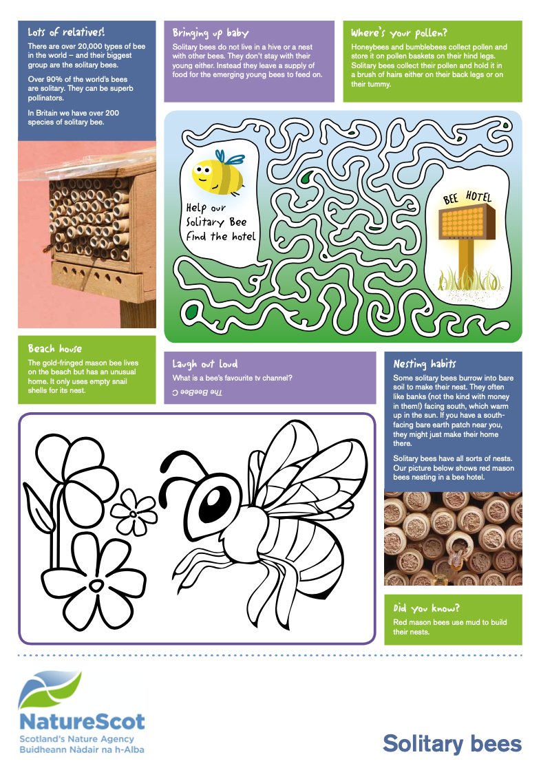 There are plenty of queen bumblebees about at the moment. You might also be noticing some solitary bees on the wing. Our Children's Activity Sheets offer youngsters an introduction to these fascinating insects and excellent pollinators. nature.scot/doc/childrens-…