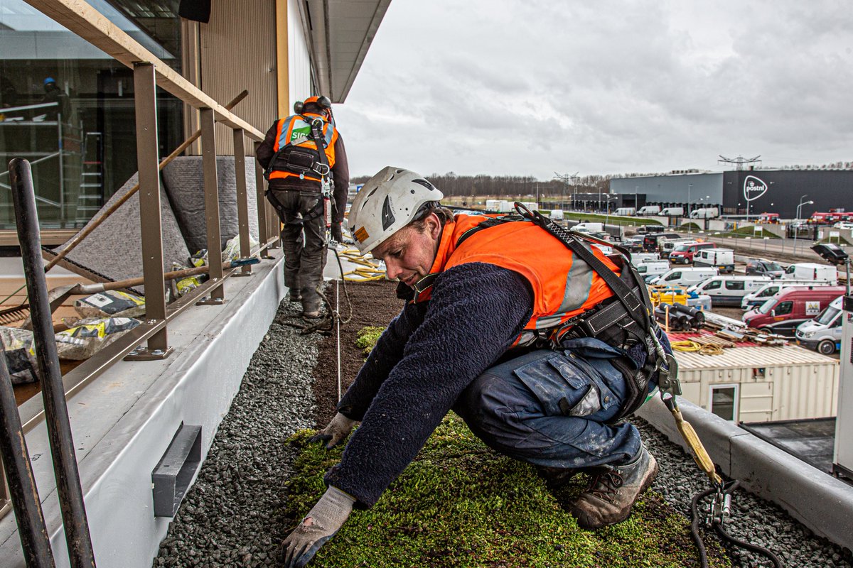 Deze week bij SIGHT Landscaping de week van de veiligheid. Bewustwording, preventie en streven naar 100% veiligheid voor al onze medewerkers. Samen maken we de wereld mooier op een veilige manier! #safetyweek #weekvandeveiligheid #veiligheid  #sightlandscaping