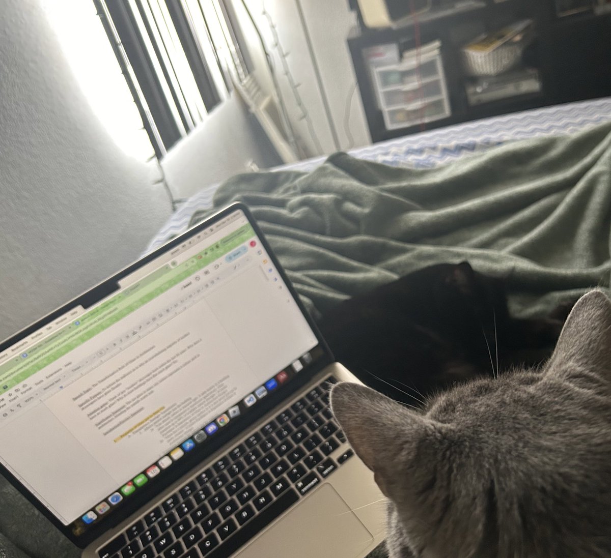 kidnamedbert's tweet photo. typing up a report! https://t.co/74H6v9frNI