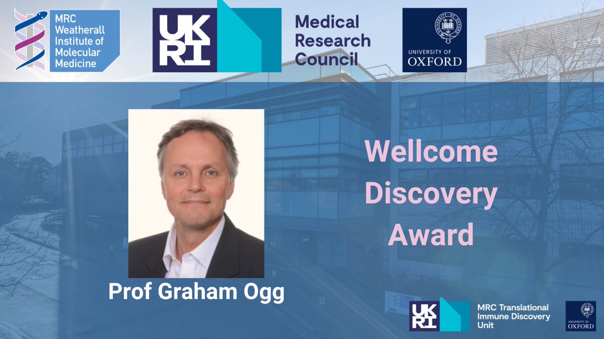 Congratulations to our Deputy Director Graham Ogg, who has received a @wellcometrust Discovery Award together with an international team 🎉 This collaborative 8-year programme will investigate how immune cells contribute to inflammation🧫 Read more: imm.ox.ac.uk/news/ogg-wellc…